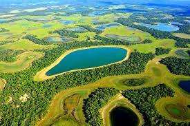 Pantanal do brasil, vegetação e lagos