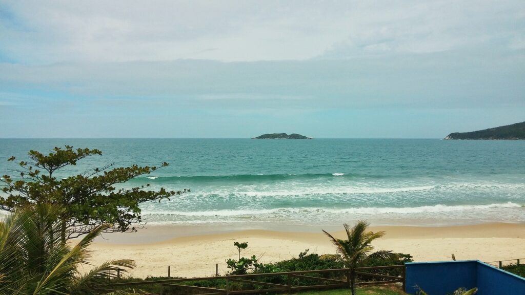 praia  e aglumas árvores