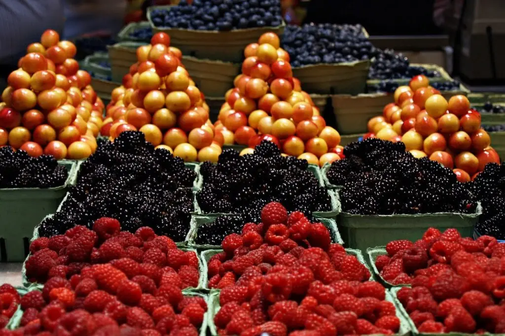 cestas de frutas diferentes em cestas