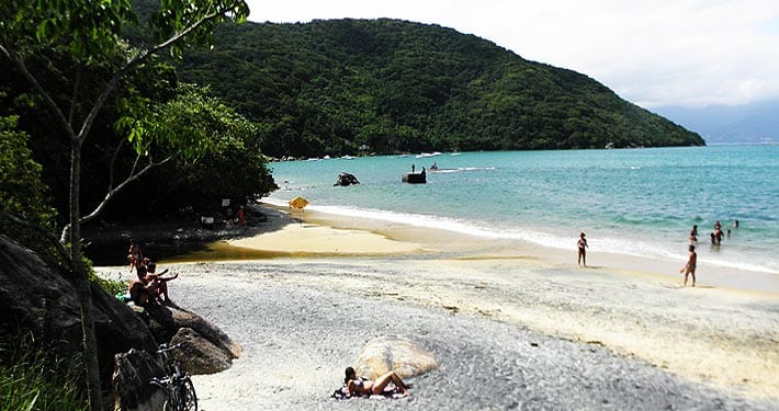 Praia com vegetação
